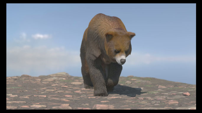 Fur and Vellum CFX RnD